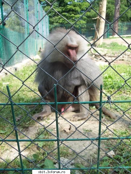 poze funny - Poza facuta la ZoO de catre D@nyela foto: D@nyla - Poze